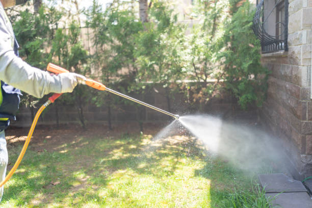 Best Bee and Wasp Removal  in Great Bend, NY